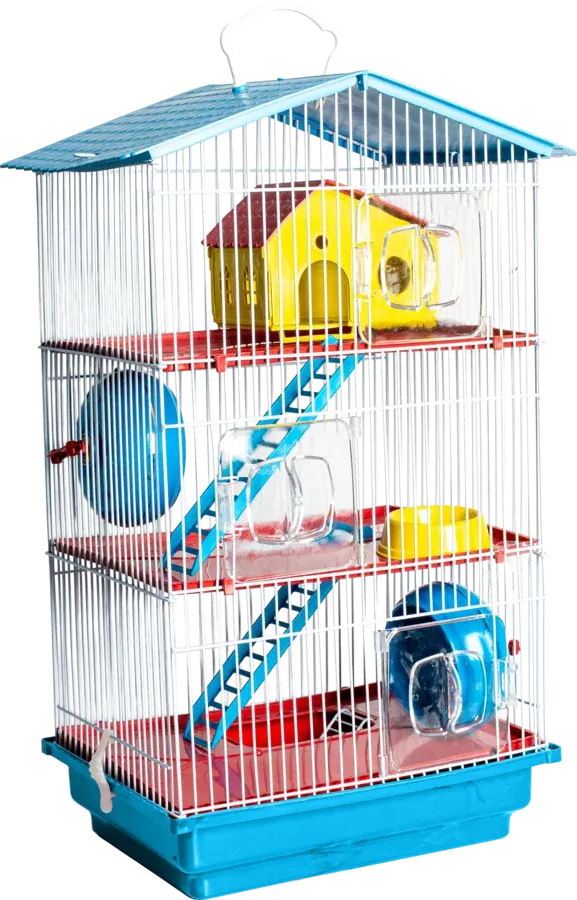 3 andares para explorar