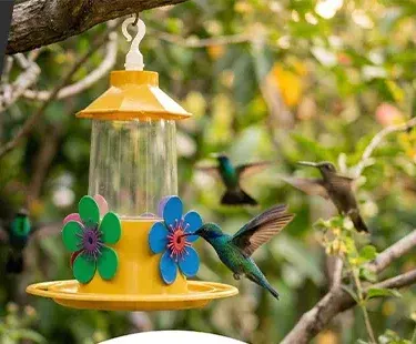 O jardim vira rota fixa