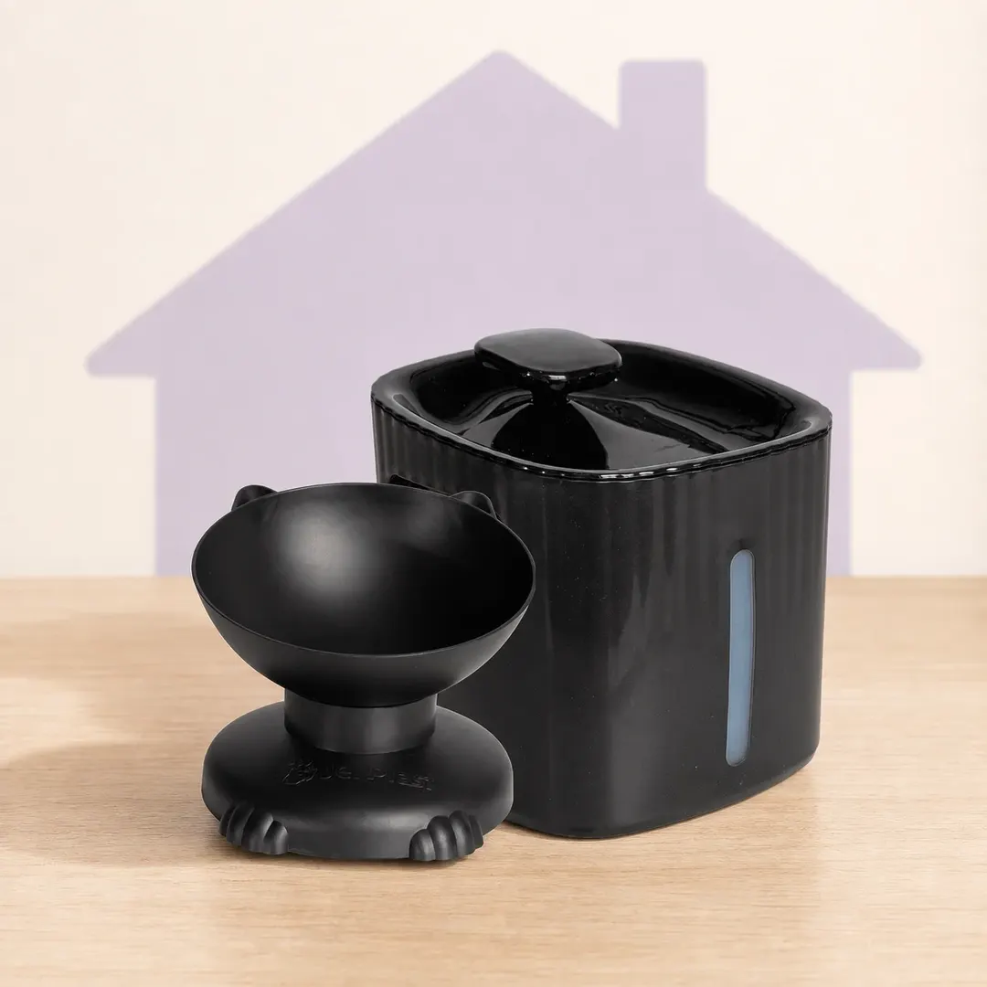 Kit Lume Fonte para Gatos com Comedouro Elevado — imagem 5