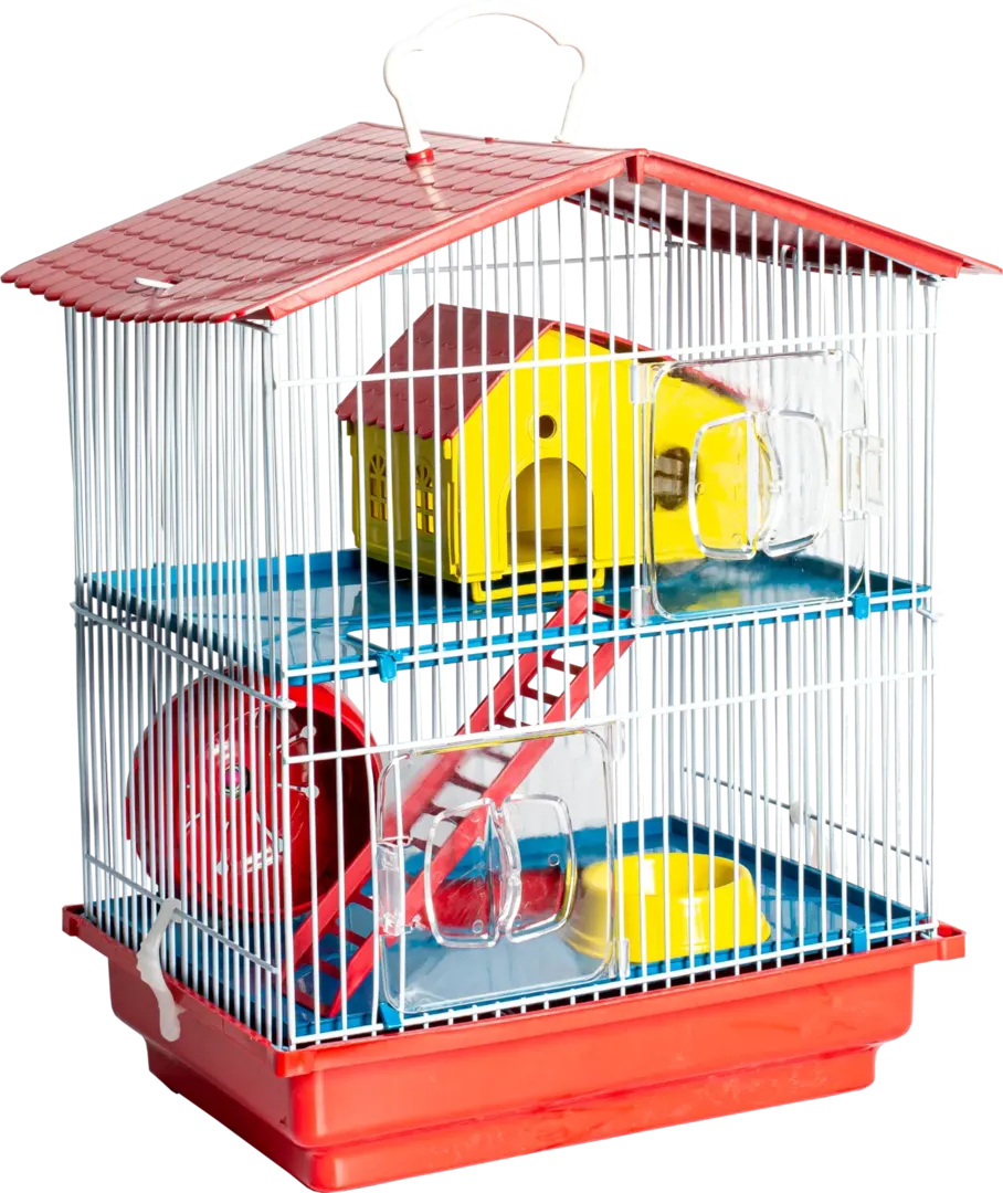 Gaiola Hamster 2 Andares Teto Plástico — imagem 2