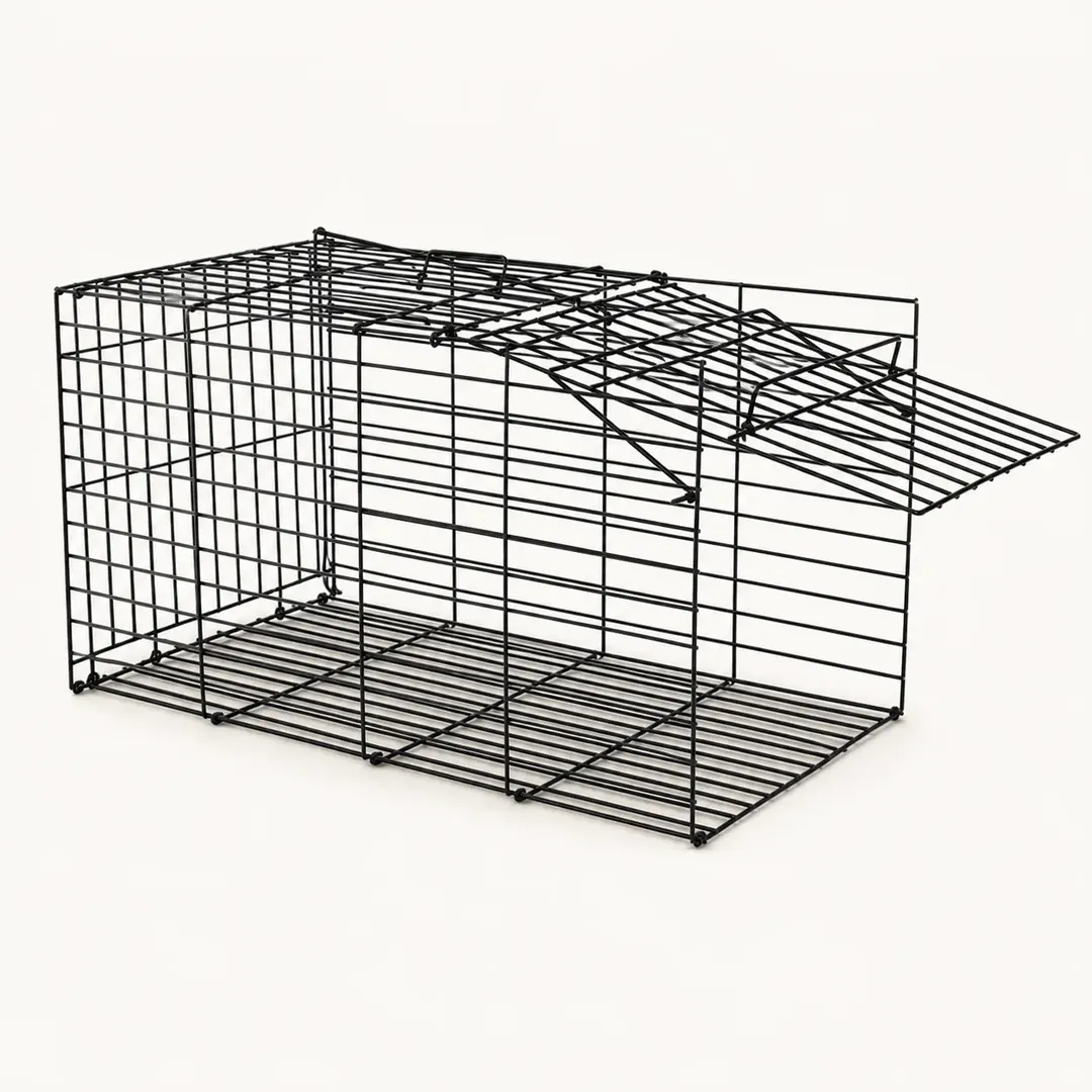 Gatoeira — imagem 3
