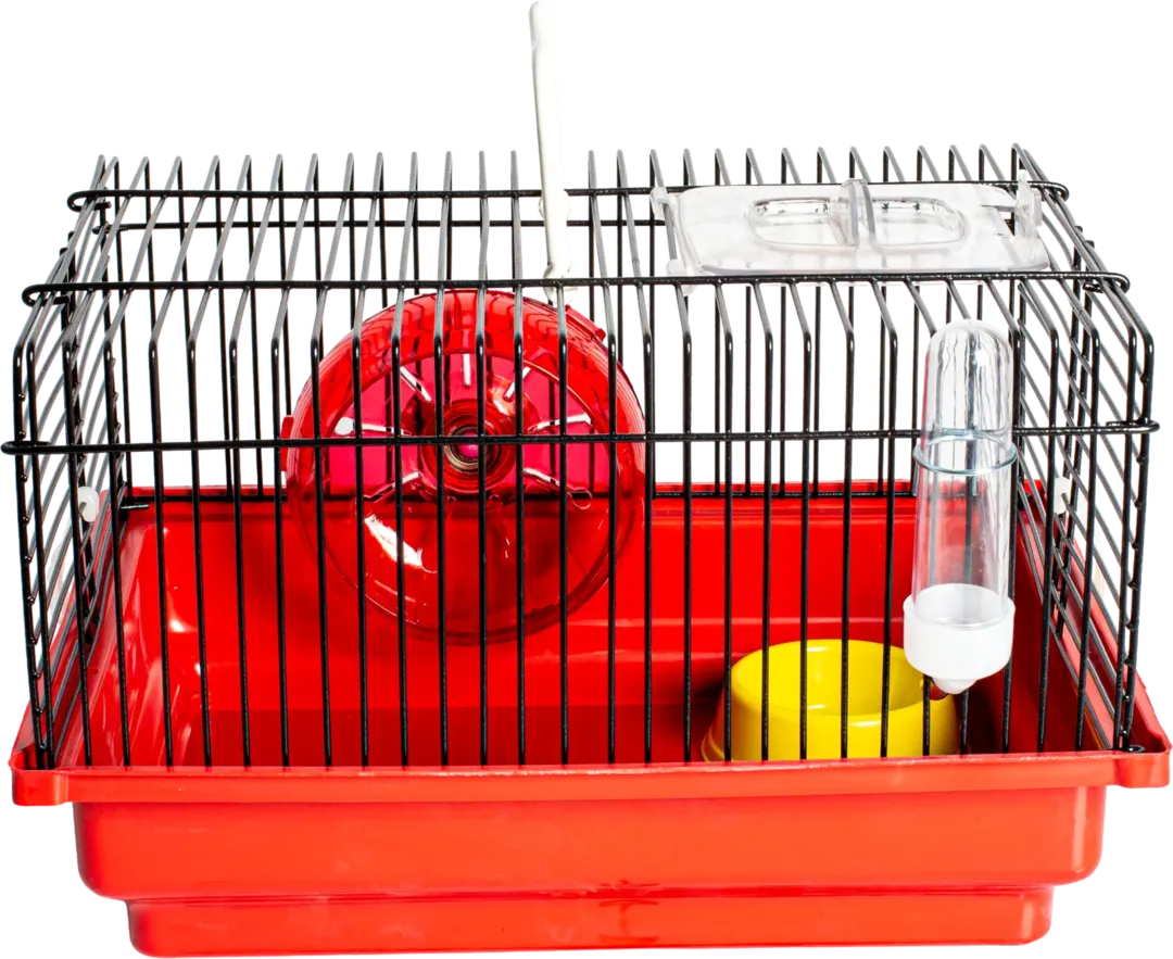 Gaiola Hamster Brasileirinha Preta — imagem 3