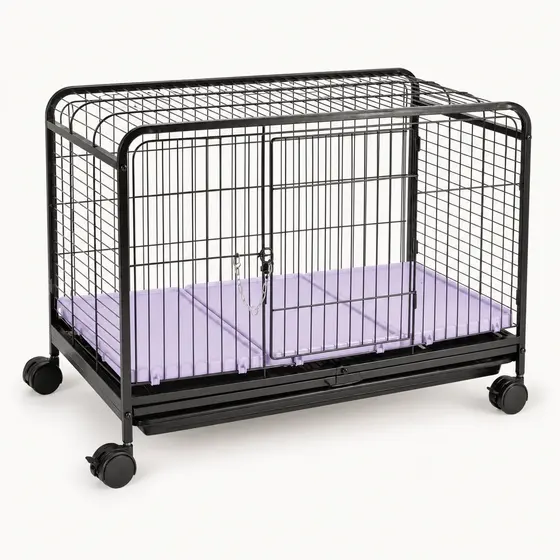 Leva Pet Grande — imagem 1