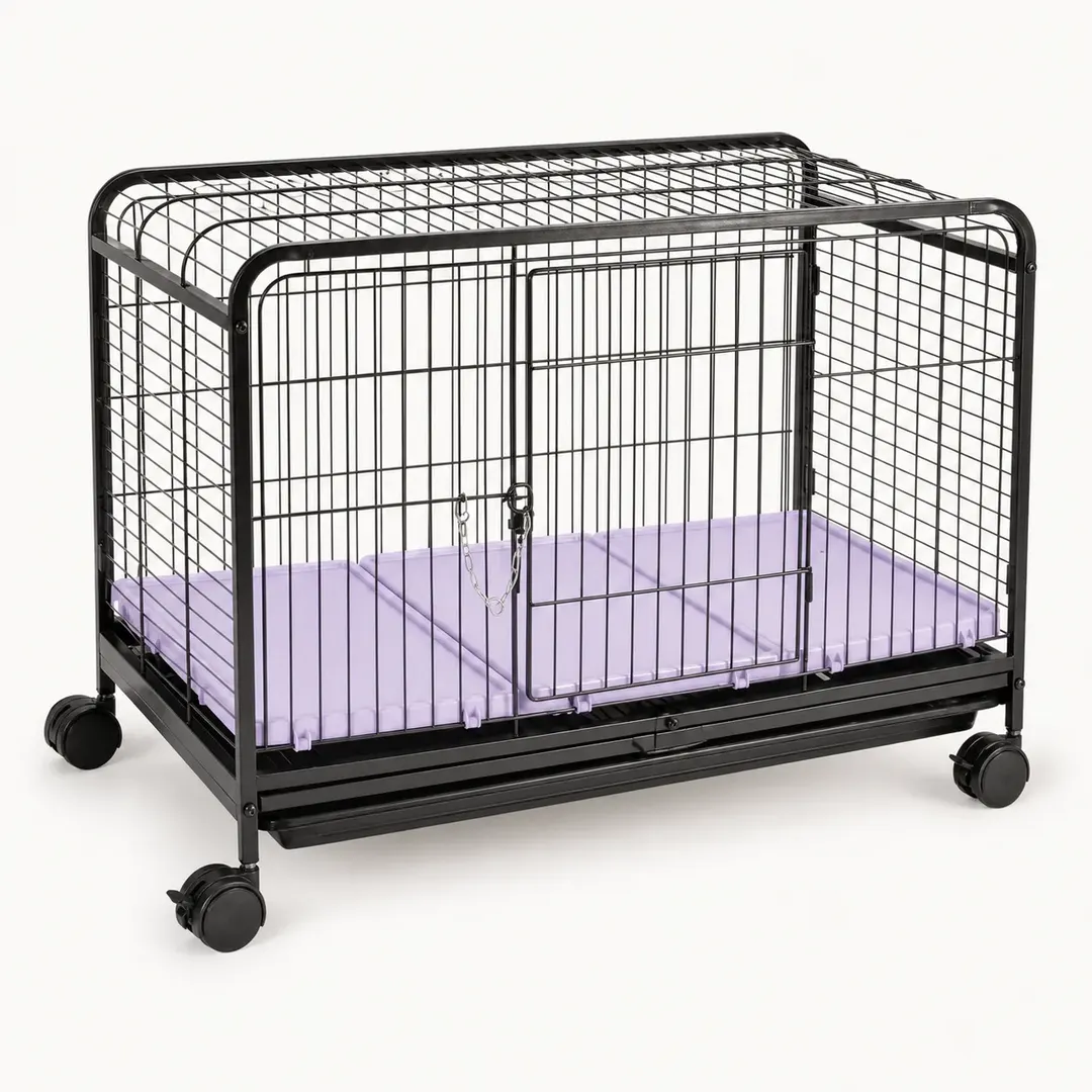 Leva Pet Grande — imagem 1