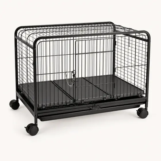 Leva Pet Grande — imagem 2