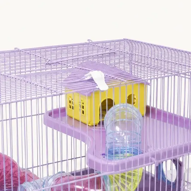 Casinha no andar de cima